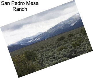 San Pedro Mesa Ranch