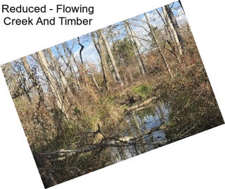 Reduced - Flowing Creek And Timber