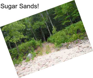 Sugar Sands!