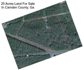 25 Acres Land For Sale In Camden County, Ga
