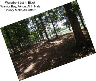 Waterfront Lot In Black Warrior Bay, Akron, Al In Hale County Make An Offer!!