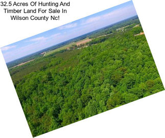 32.5 Acres Of Hunting And Timber Land For Sale In Wilson County Nc!