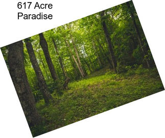 617 Acre Paradise