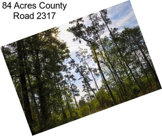 84 Acres County Road 2317