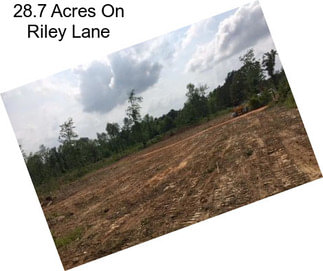 28.7 Acres On Riley Lane