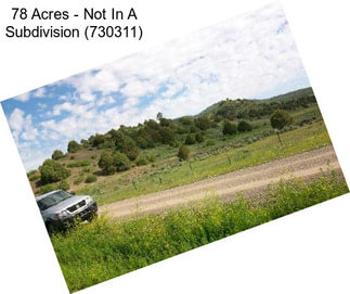 78 Acres - Not In A Subdivision (730311)