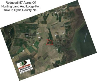 Reduced! 57 Acres Of Hunting Land And Lodge For Sale In Hyde County Nc!