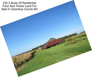 232.3 Acres Of Residential Farm And Timber Land For Sale In Columbus County Nc!