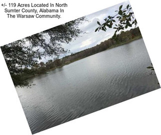 +/- 119 Acres Located In North Sumter County, Alabama In The Warsaw Community.