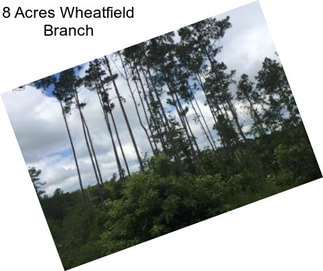 8 Acres Wheatfield Branch