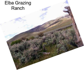Elba Grazing Ranch
