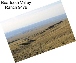 Beartooth Valley Ranch 9479
