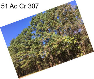 51 Ac Cr 307