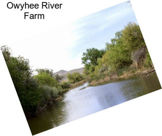 Owyhee River Farm