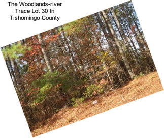 The Woodlands-river Trace Lot 30 In Tishomingo County