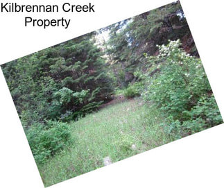 Kilbrennan Creek Property