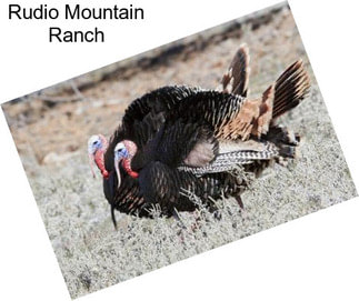 Rudio Mountain Ranch