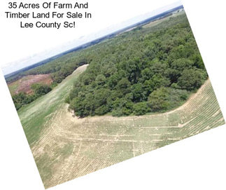 35 Acres Of Farm And Timber Land For Sale In Lee County Sc!