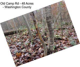 Old Camp Rd - 48 Acres - Washington County
