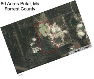 80 Acres Petal, Ms Forrest County