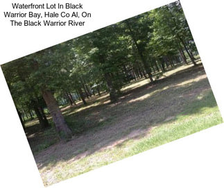 Waterfront Lot In Black Warrior Bay, Hale Co Al, On The Black Warrior River