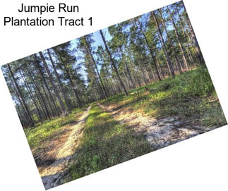 Jumpie Run Plantation Tract 1