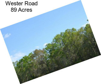 Wester Road 89 Acres