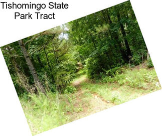 Tishomingo State Park Tract