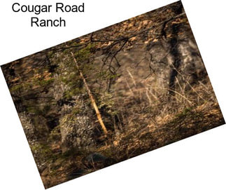 Cougar Road Ranch