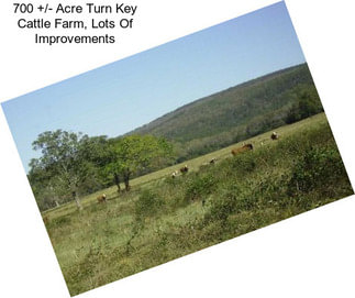 700 +/- Acre Turn Key Cattle Farm, Lots Of Improvements