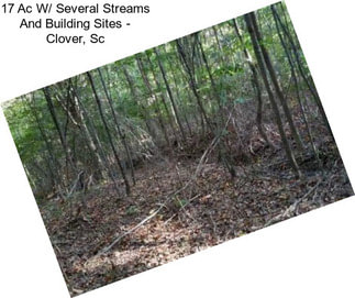 17 Ac W/ Several Streams And Building Sites - Clover, Sc