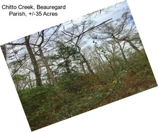 Chitto Creek, Beauregard Parish, +/-35 Acres