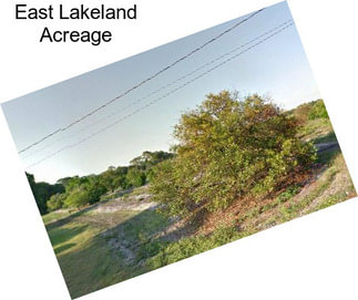 East Lakeland Acreage