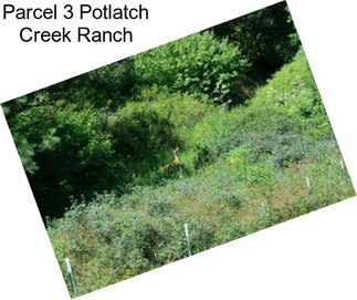 Parcel 3 Potlatch Creek Ranch