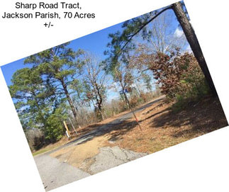 Sharp Road Tract, Jackson Parish, 70 Acres +/-