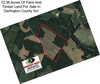 72.36 Acres Of Farm And Timber Land For Sale In Darlington County Sc!