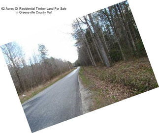 62 Acres Of Residential Timber Land For Sale In Greensville County Va!