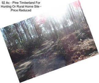 92 Ac - Pine Timberland For Hunting Or Rural Home Site - Price Reduced