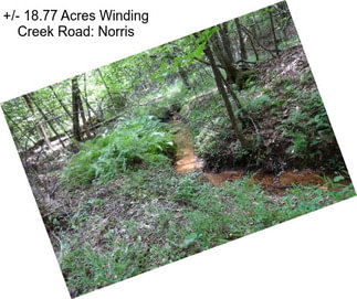 +/- 18.77 Acres Winding Creek Road: Norris