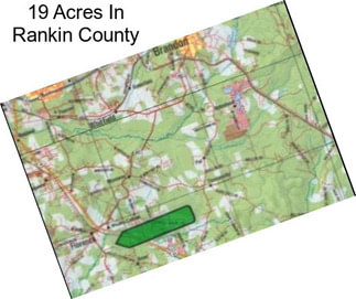 19 Acres In Rankin County