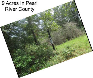 9 Acres In Pearl River County