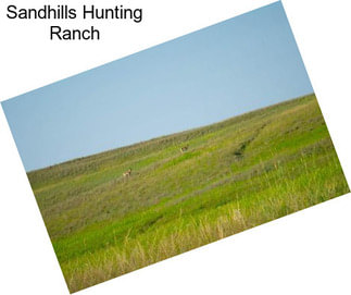 Sandhills Hunting Ranch