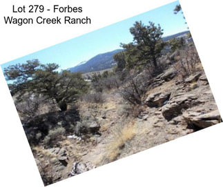 Lot 279 - Forbes Wagon Creek Ranch