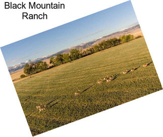 Black Mountain Ranch