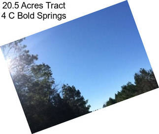 20.5 Acres Tract 4 C Bold Springs