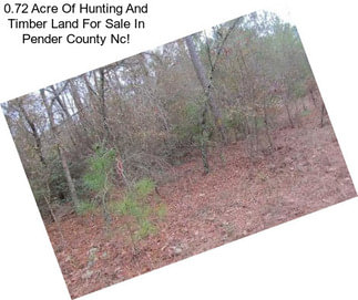 0.72 Acre Of Hunting And Timber Land For Sale In Pender County Nc!