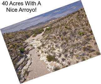 40 Acres With A Nice Arroyo!