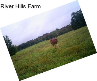 River Hills Farm