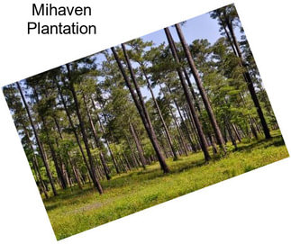 Mihaven Plantation