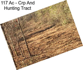 117 Ac - Crp And Hunting Tract